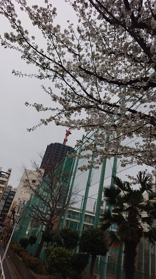 桜　外構　千葉